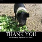 Thank You Kindly