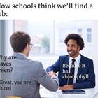 Thanks Schools