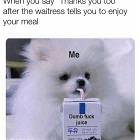 Thanks You Too