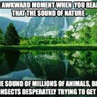 That Awesome Moment