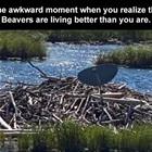 That Moment When