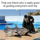 That One Friend
