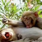 That Tickles
