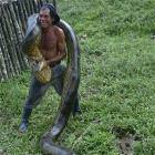 Thats A Big Snake