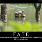 Thats Fate