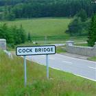 Thats Some Bridge