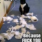 Thats Why