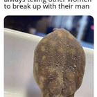 The Advice