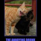 The Annoying Drunk