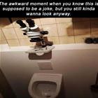 The Awkward Moment