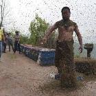 The Bee Man