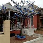 The Beer Tree