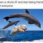 The Best Nights