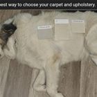 The Best Way To Choose