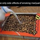 The Biggest Side Effect