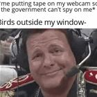 The Birds