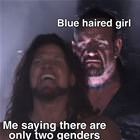 The Blue Hairs