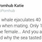 The Blue Whale
