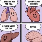 The Brains