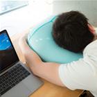 The Butt Pillow