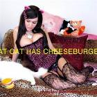 The Cat