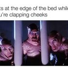 The Cats