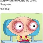 The Cutest Dog Ever