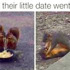 The Date Went Well
