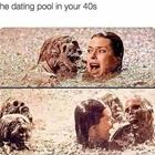 The Dating Pool