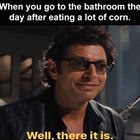 The Day After