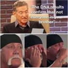 The Dna Results