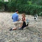 The Dog Got Excited