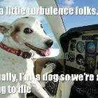 The Dog Pilot