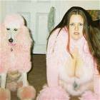 The Dogs Hotter