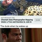 The Dude Napping