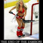 The End Of The Zamboni