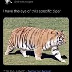 The Eye