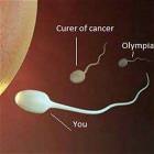 The Fastest Sperm