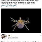 The First Attack