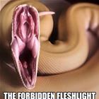 The Forbidden