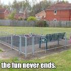 The Fun Never Ends