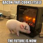 The Future Is Now