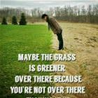 The Grass Is Greener