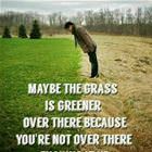The Grass Is Greener
