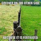 The Grass Is Greener