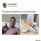 The Grass On Social Media