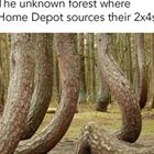 The Great Unknown