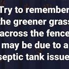 The Greener Grass