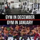The Gym