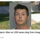 The Hero We All Deserve